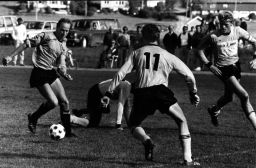 varfjisfj89SteinOveraas